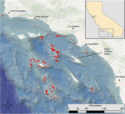 Deep-Sea Coral and Sponge Taxa Increase Demersal Fish Diversity and the Probability of Fish Presence